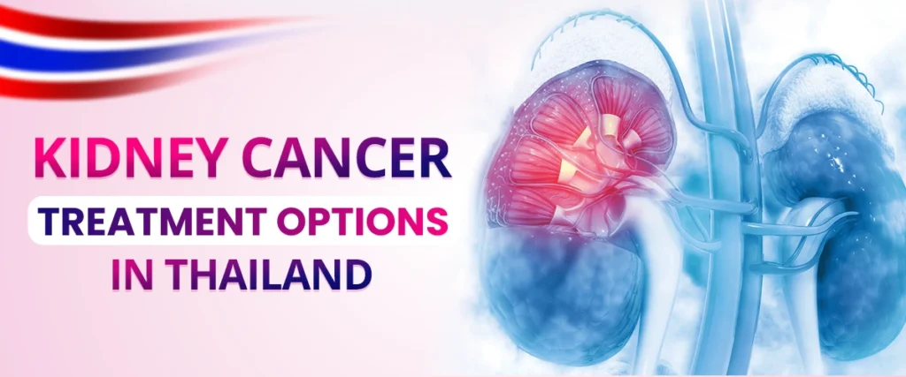 Kidney Cancer Treatment Options in Thailand | ThaiMedics