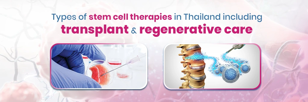 Stem Cell Therapy in Thailand: Facts & Current Trends 2 Types of Stem Cell Therapies Patients May See
