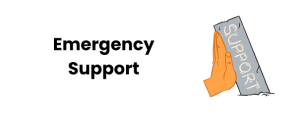 emergency support